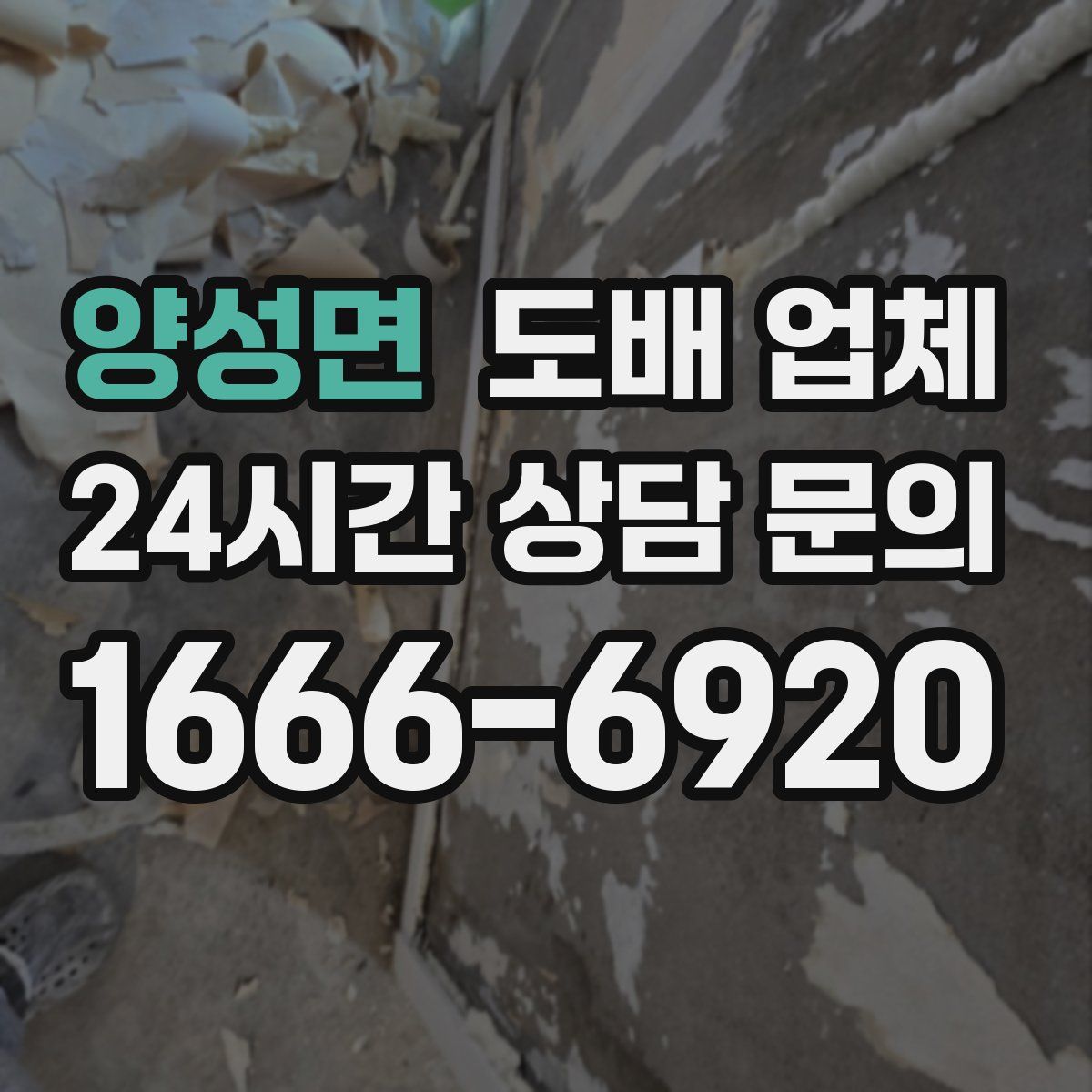 양성면 도배 업체