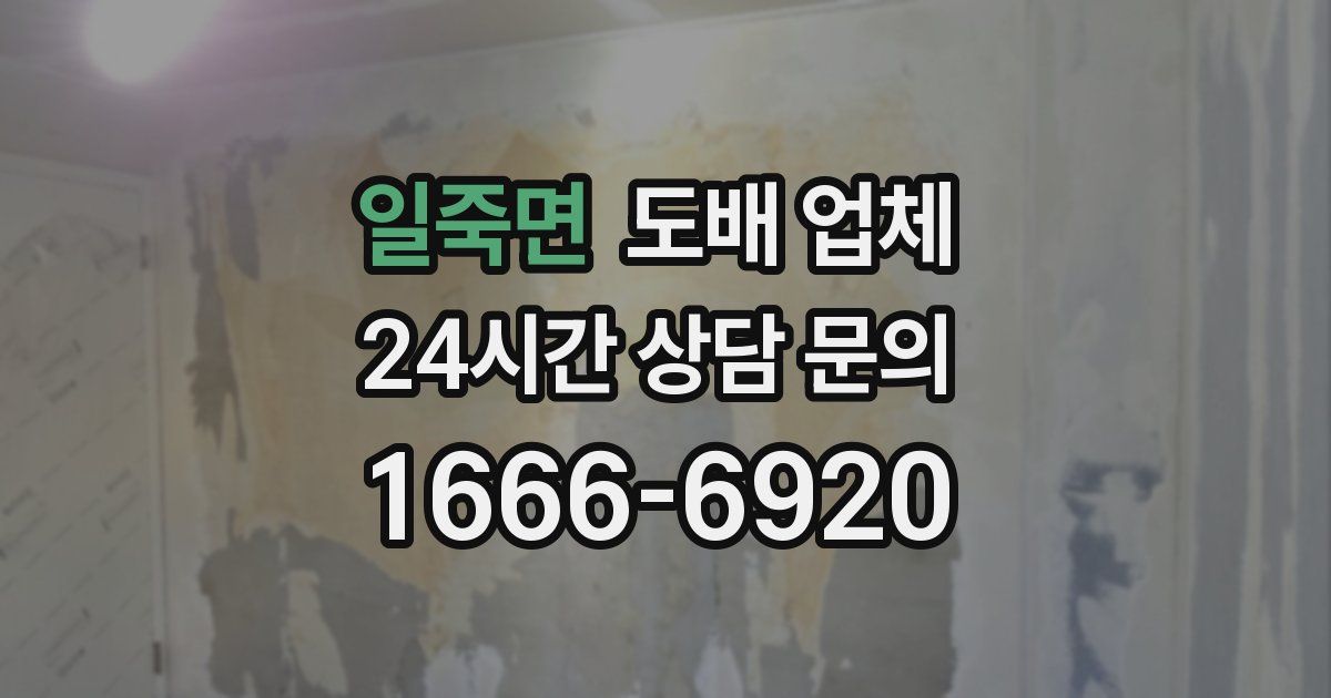 일죽면 도배 업체