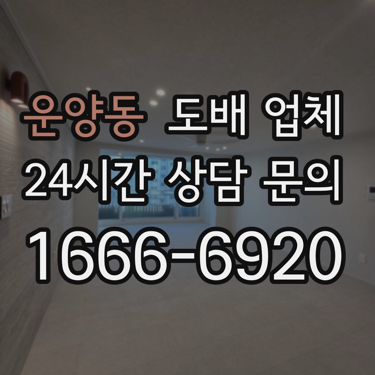 운양동 도배 업체