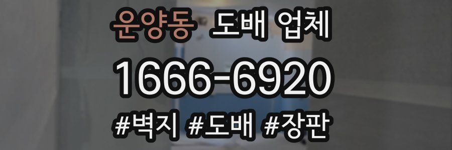 운양동 도배 업체