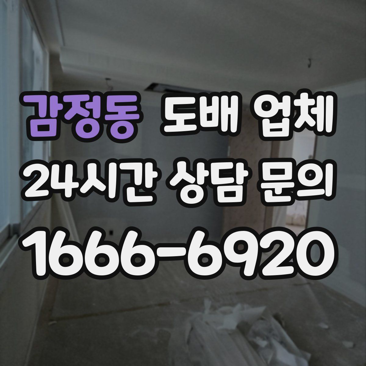 감정동 도배 업체