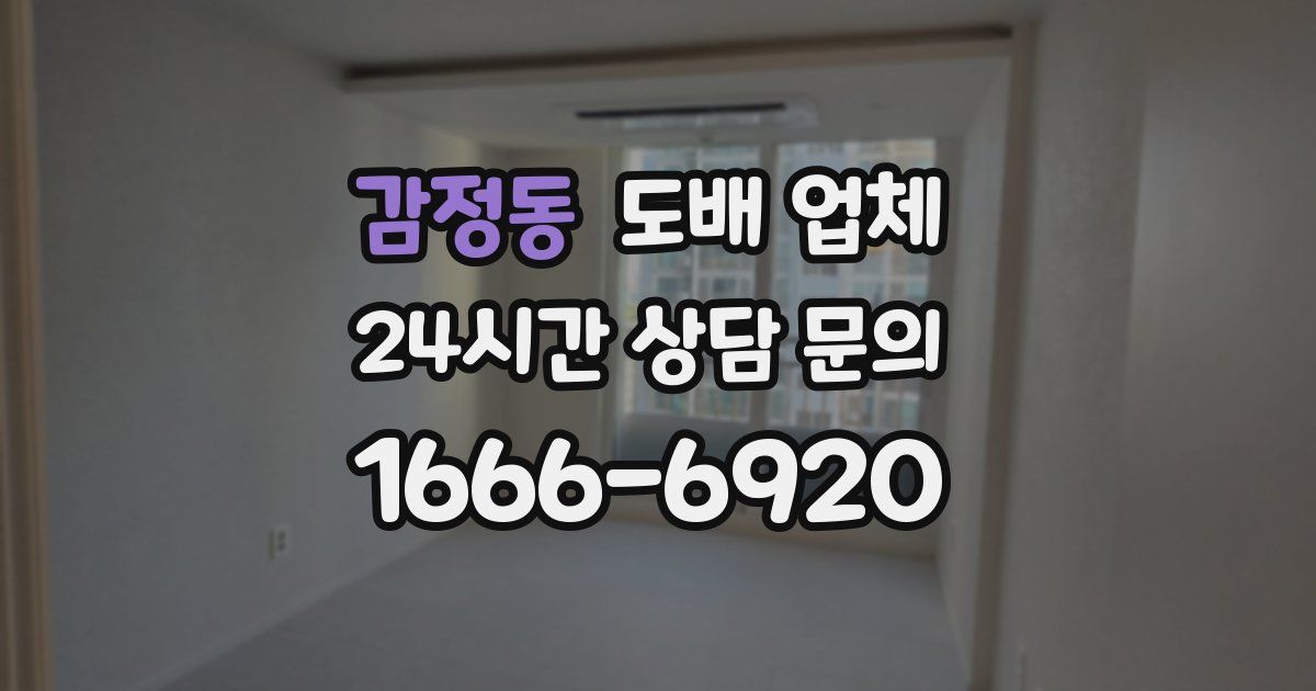감정동 도배 업체