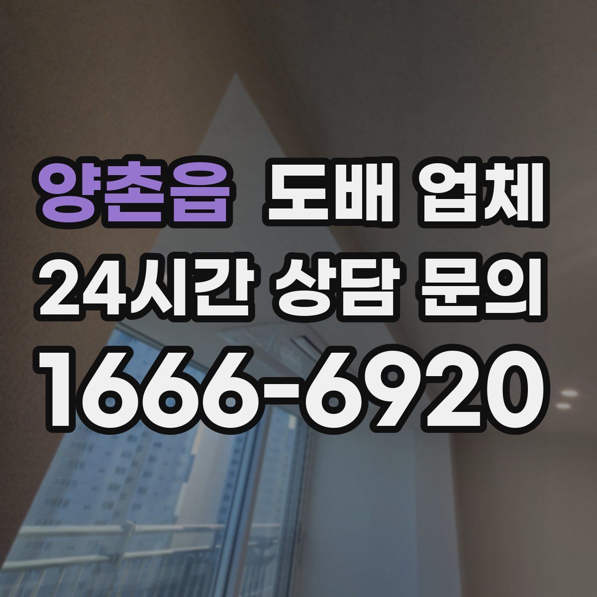 양촌읍 도배 업체