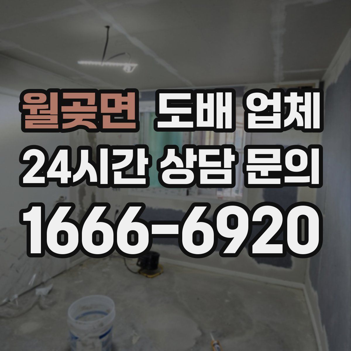 월곶면 도배 업체