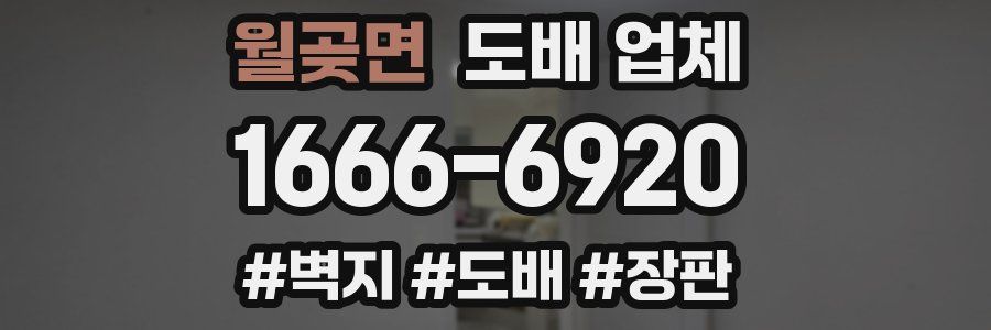 월곶면 도배 업체