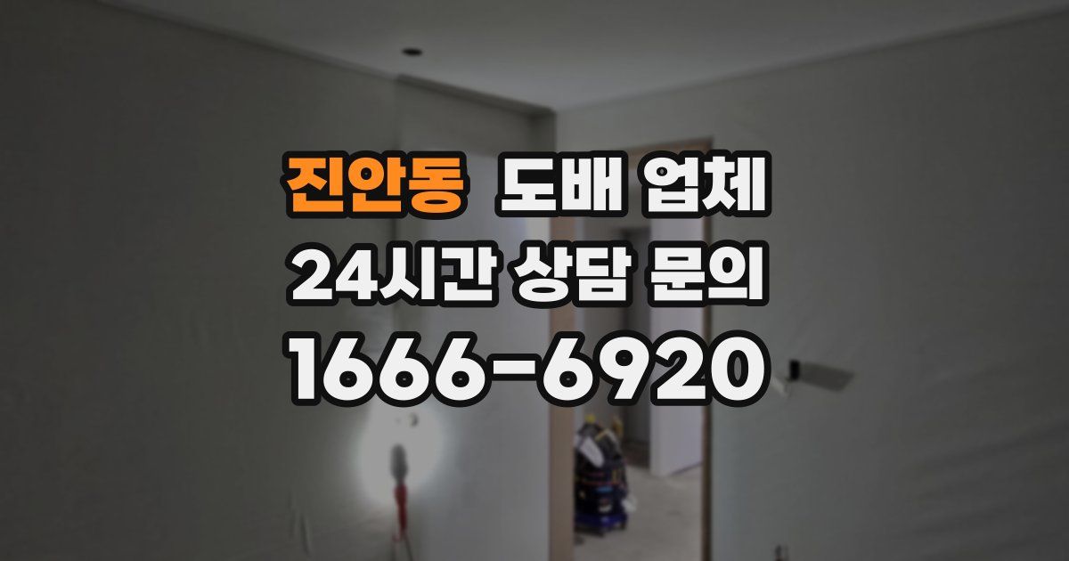 진안동 도배 업체