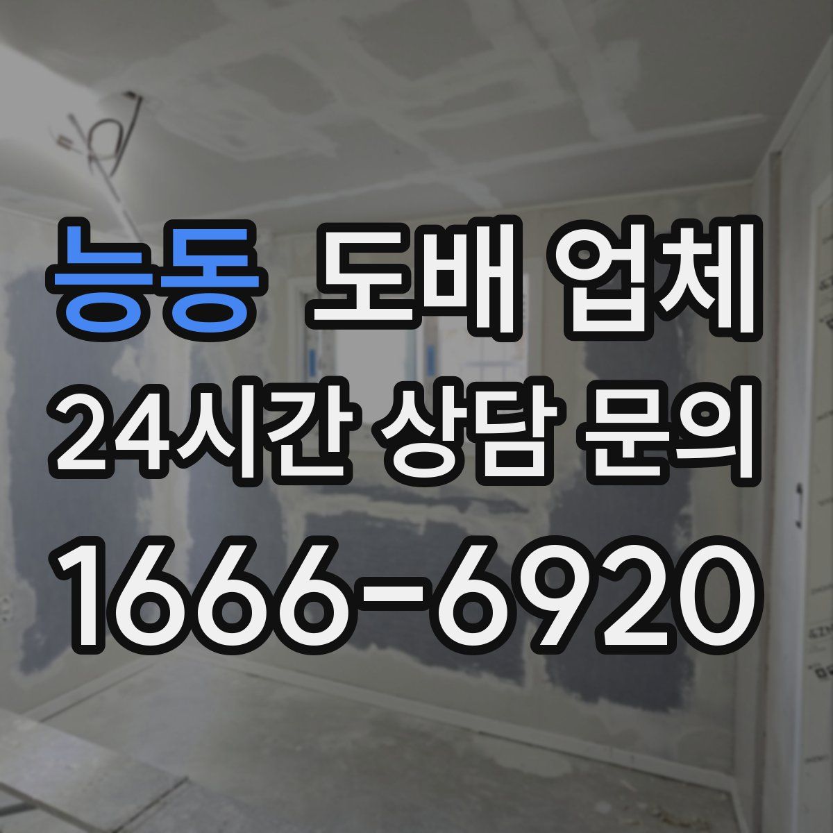 능동 도배 업체