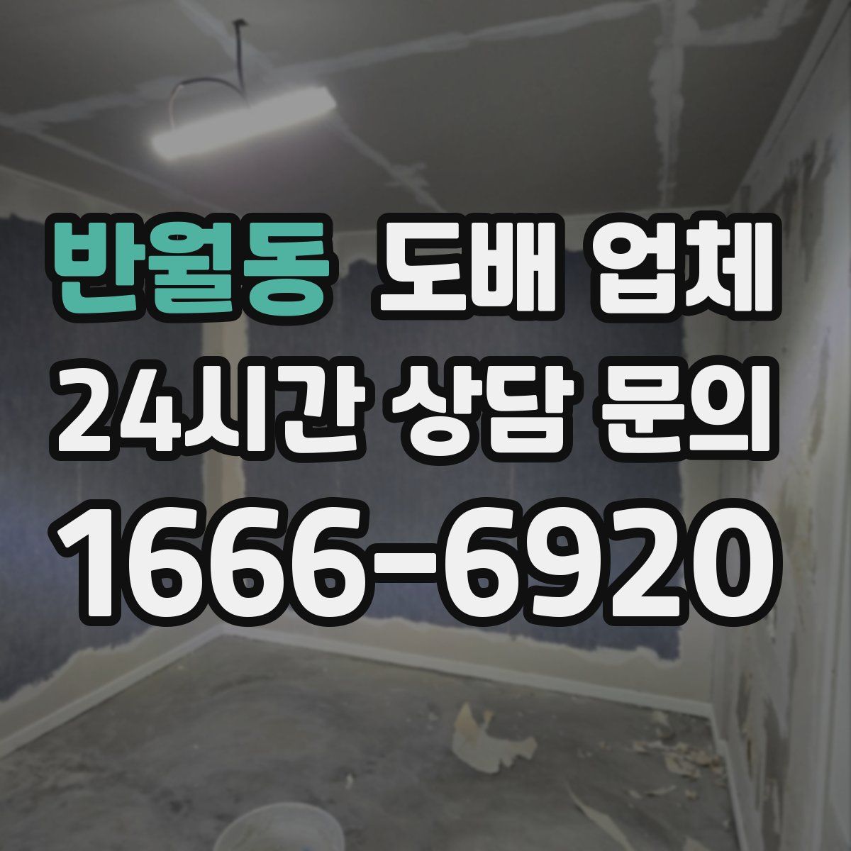 반월동 도배 업체