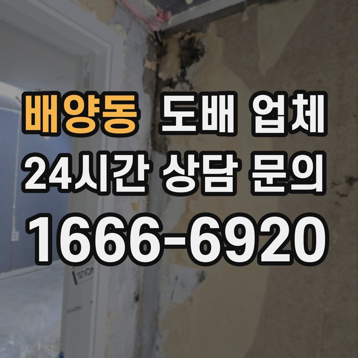 배양동 도배 업체 견적 차이를 이해하는 법