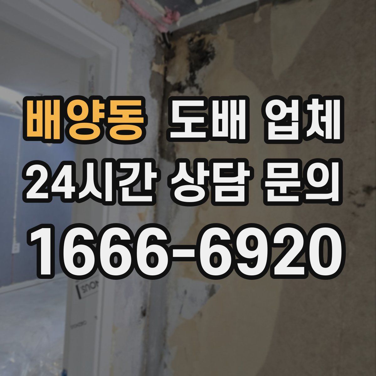 배양동 도배 업체