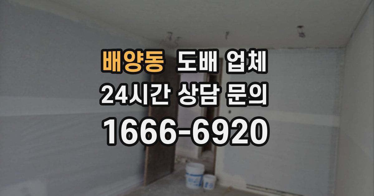 배양동 도배 업체