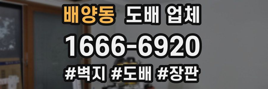배양동 도배 업체