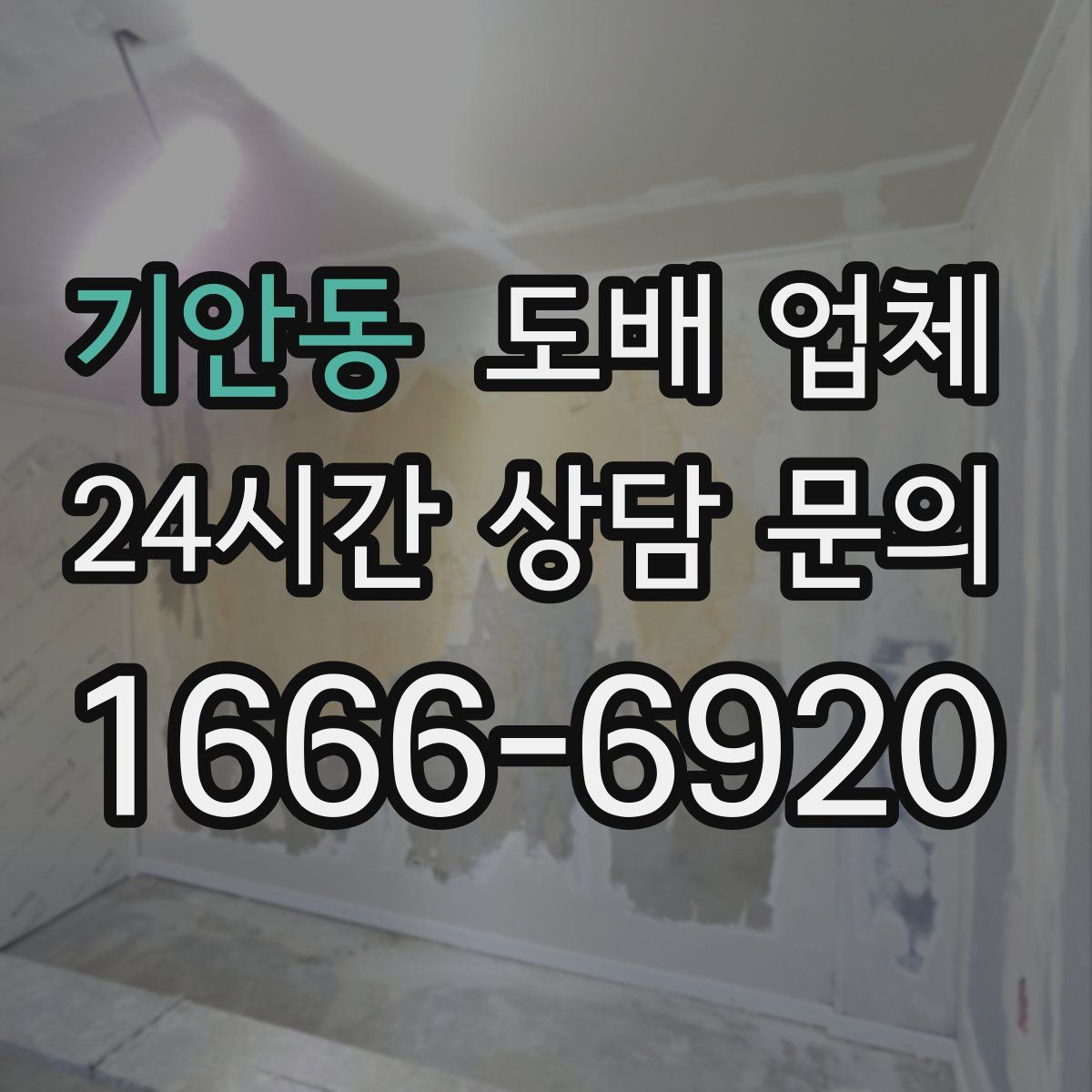 기안동 도배 업체