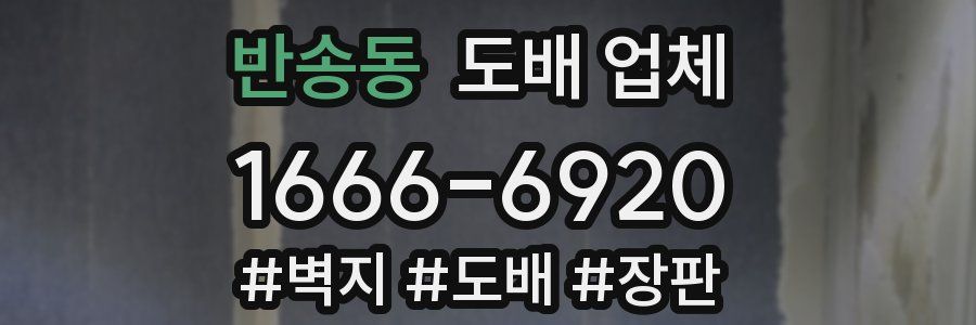 반송동 도배 업체