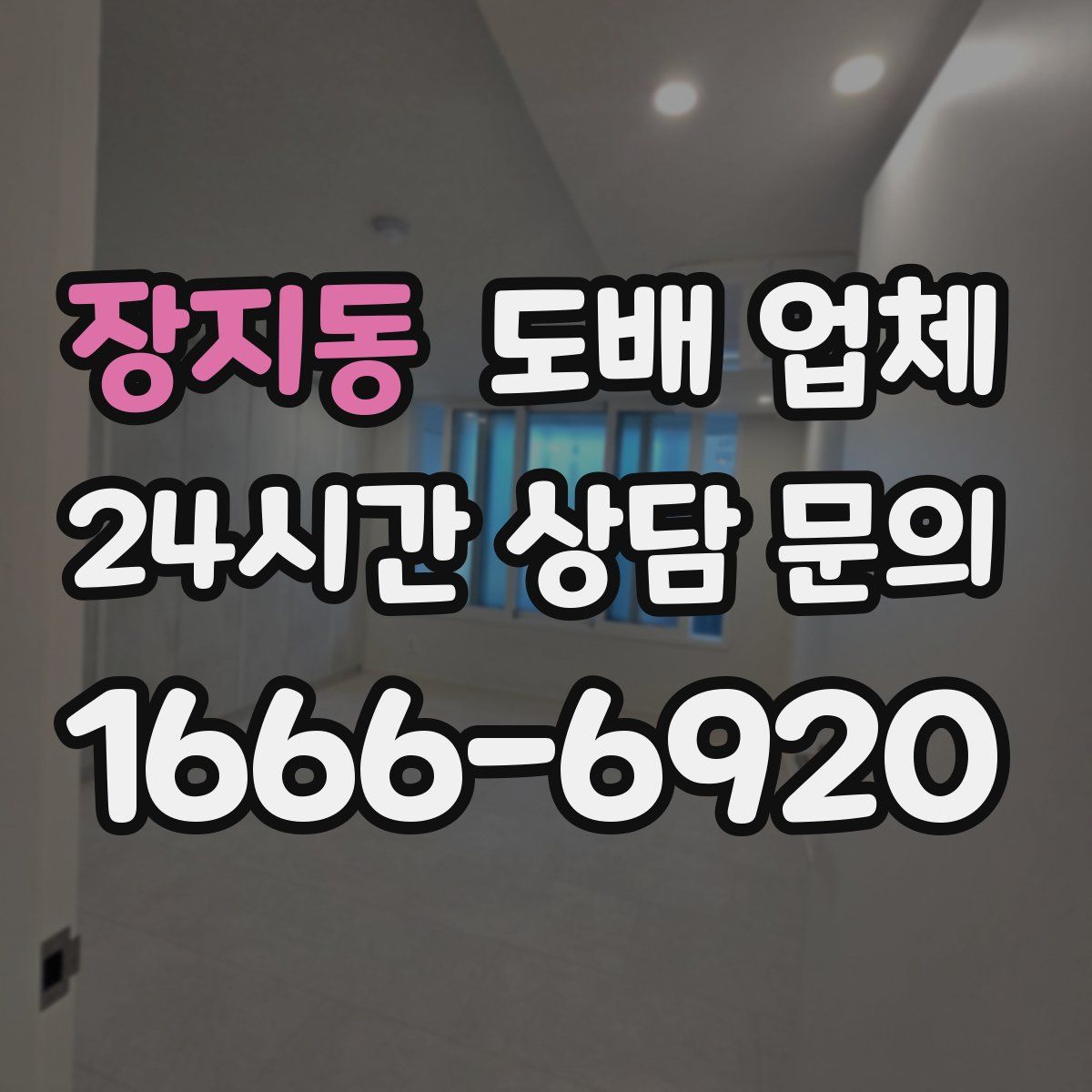 장지동 도배 업체
