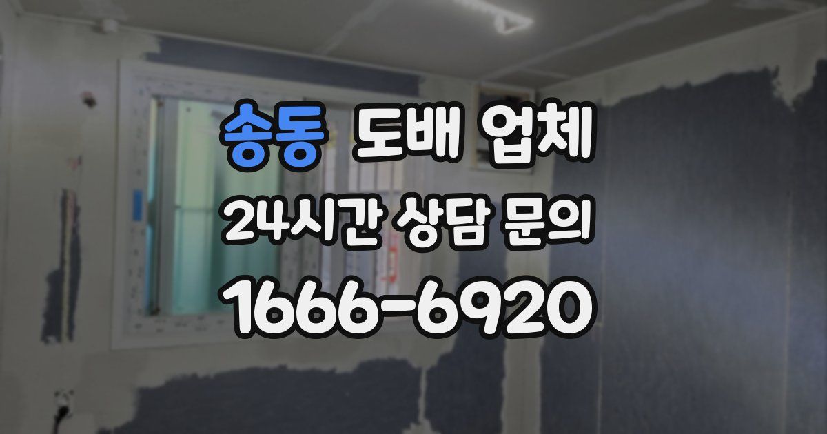 송동 도배 업체