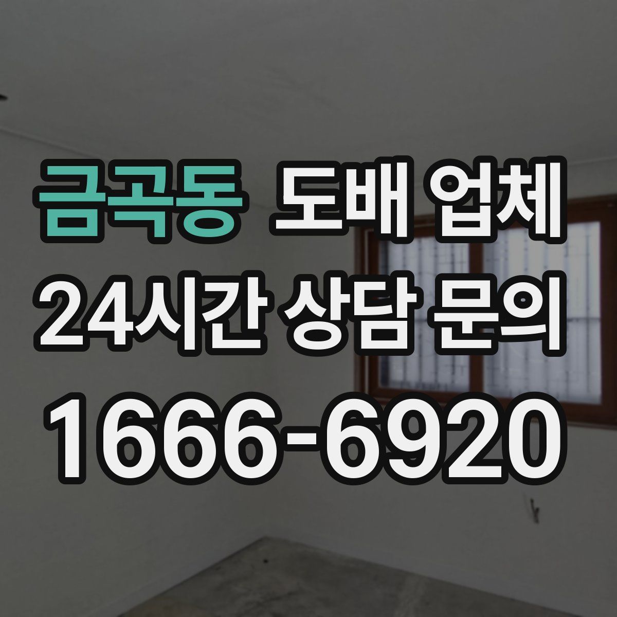 금곡동 도배 업체