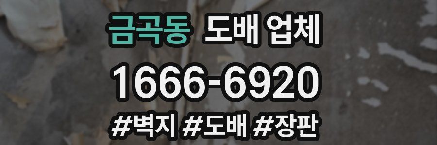 금곡동 도배 업체