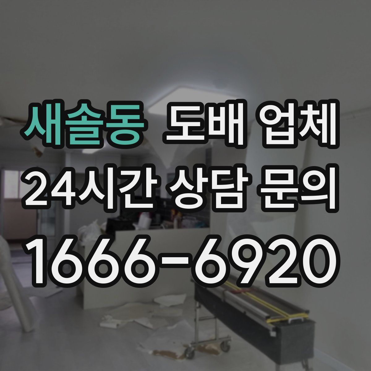새솔동 도배 업체