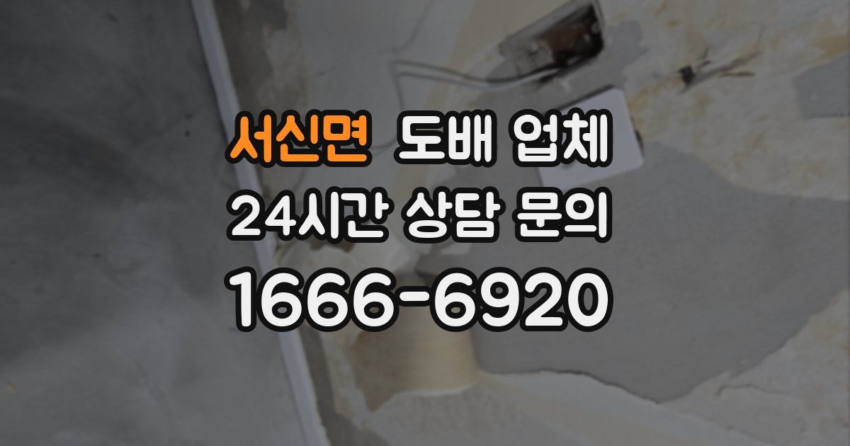 서신면 도배 업체
