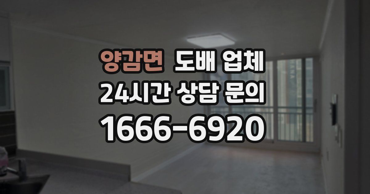 양감면 도배 업체