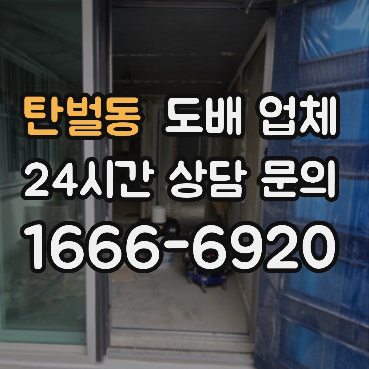탄벌동 도배 업체