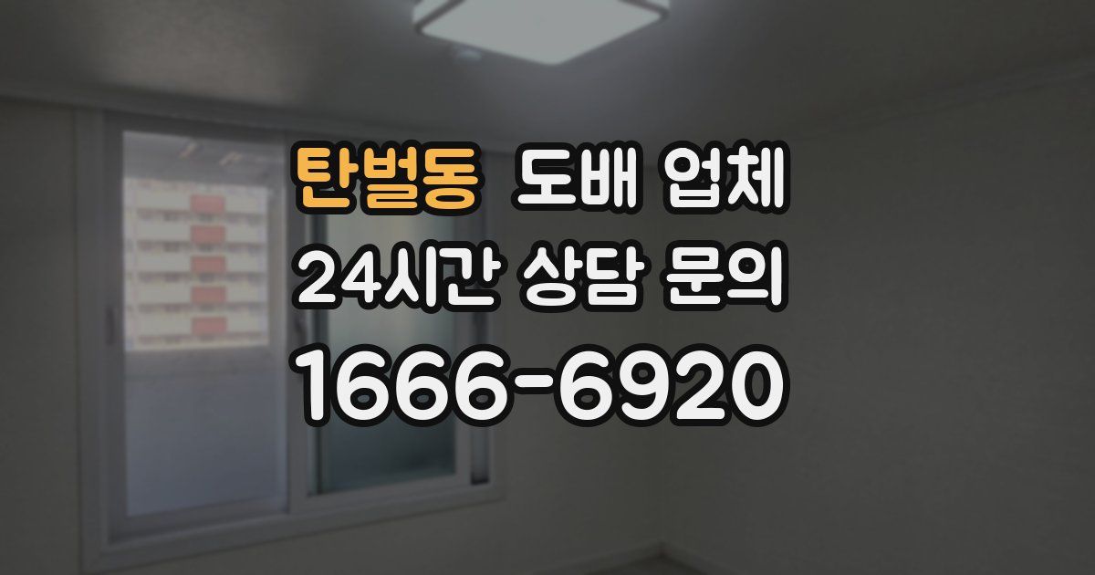 탄벌동 도배 업체