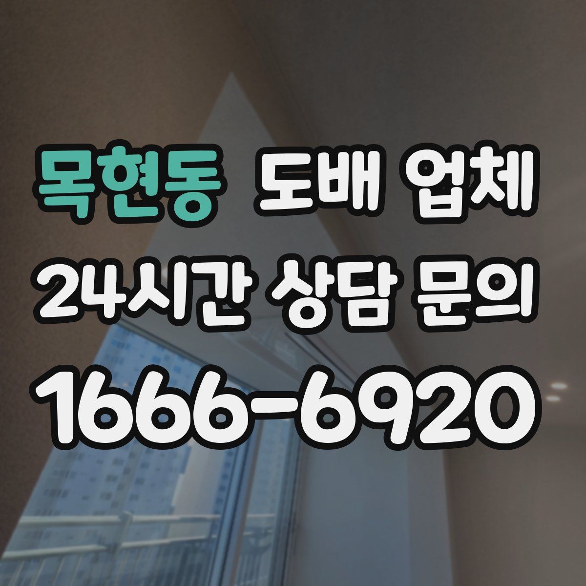 목현동 도배 업체