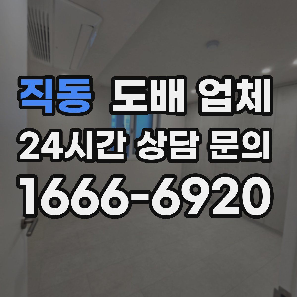 직동 도배 업체