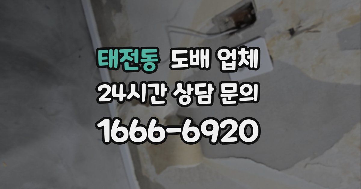 태전동 도배 업체