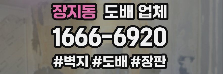 장지동 도배 업체