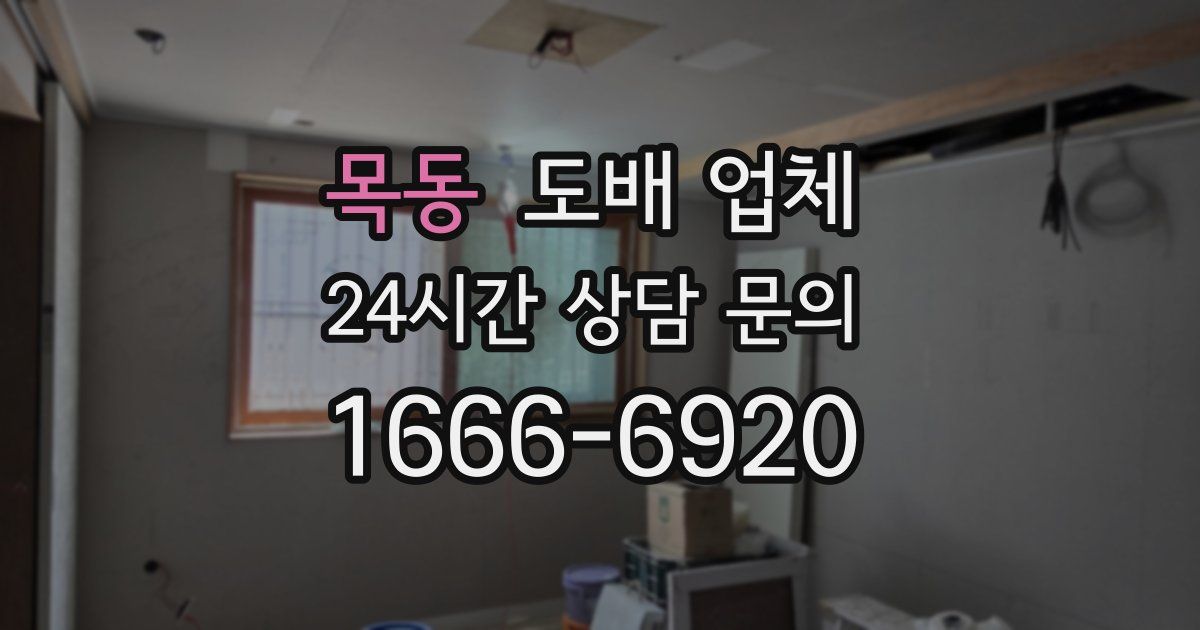 목동 도배 업체