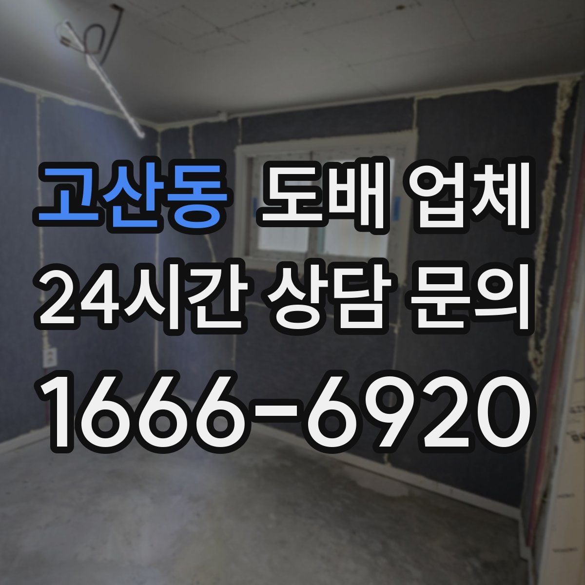 고산동 도배 업체