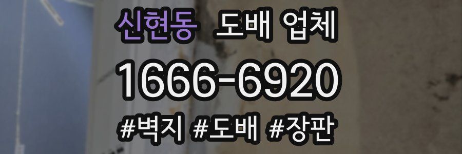 신현동 도배 업체
