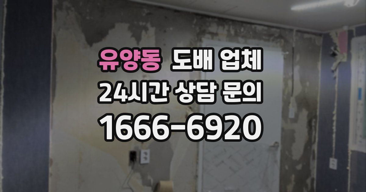 유양동 도배 업체