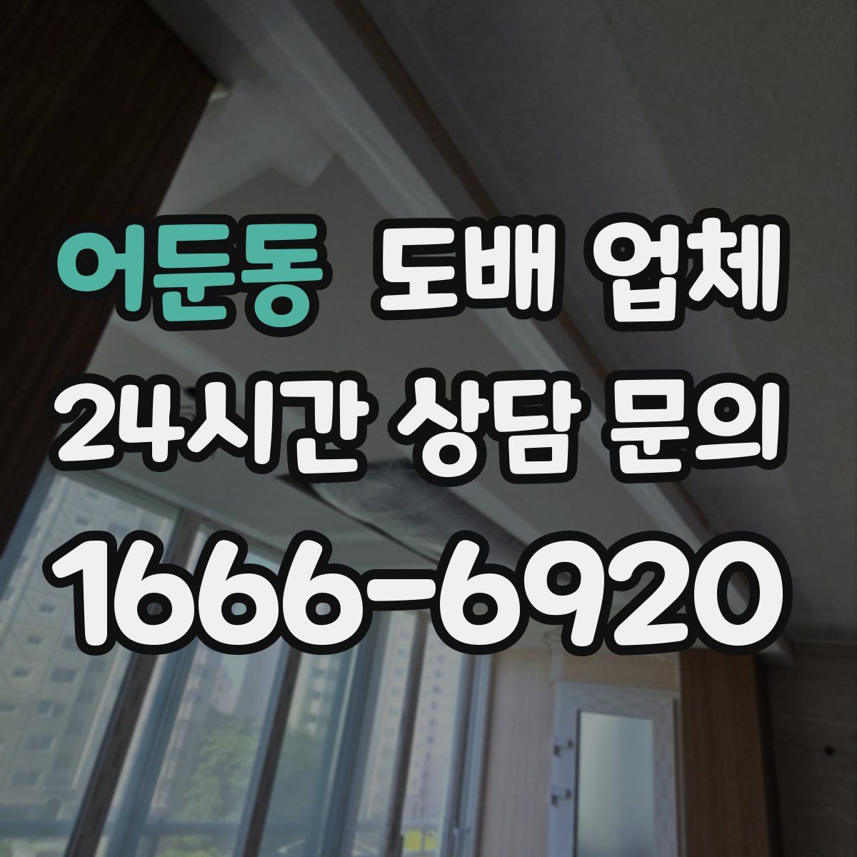 어둔동 도배 업체