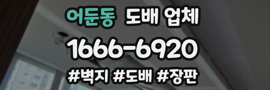 어둔동 도배 업체