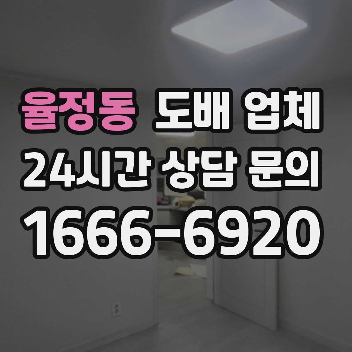 율정동 도배 업체