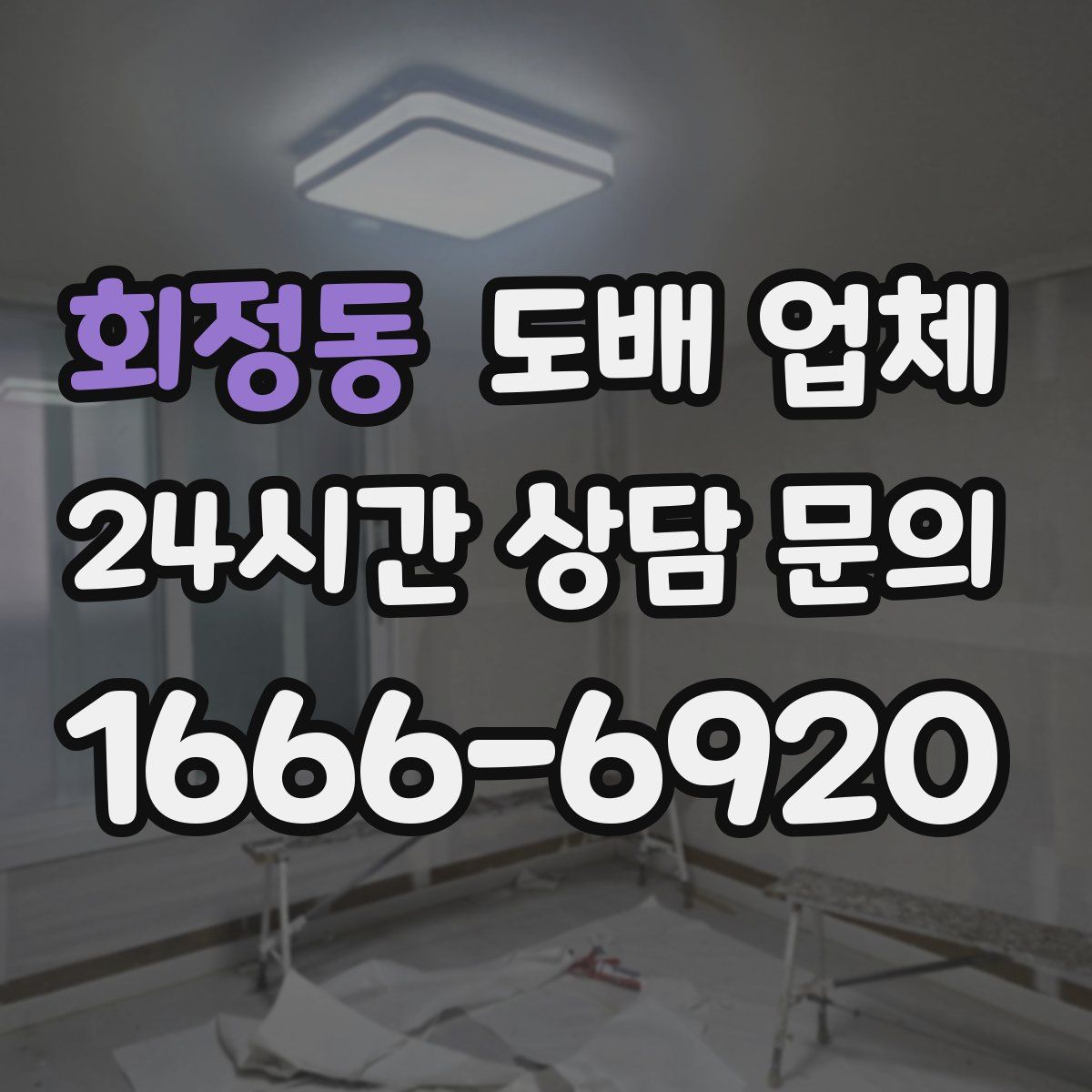 회정동 도배 업체