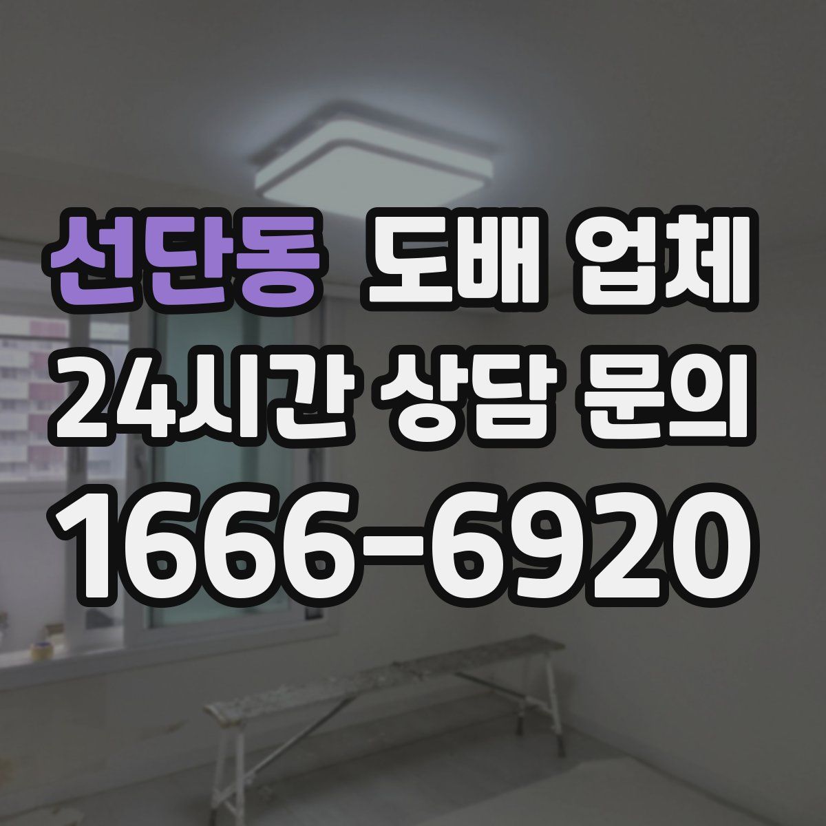 선단동 도배 업체