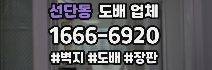 선단동 도배 업체