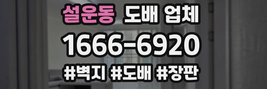 설운동 도배 업체