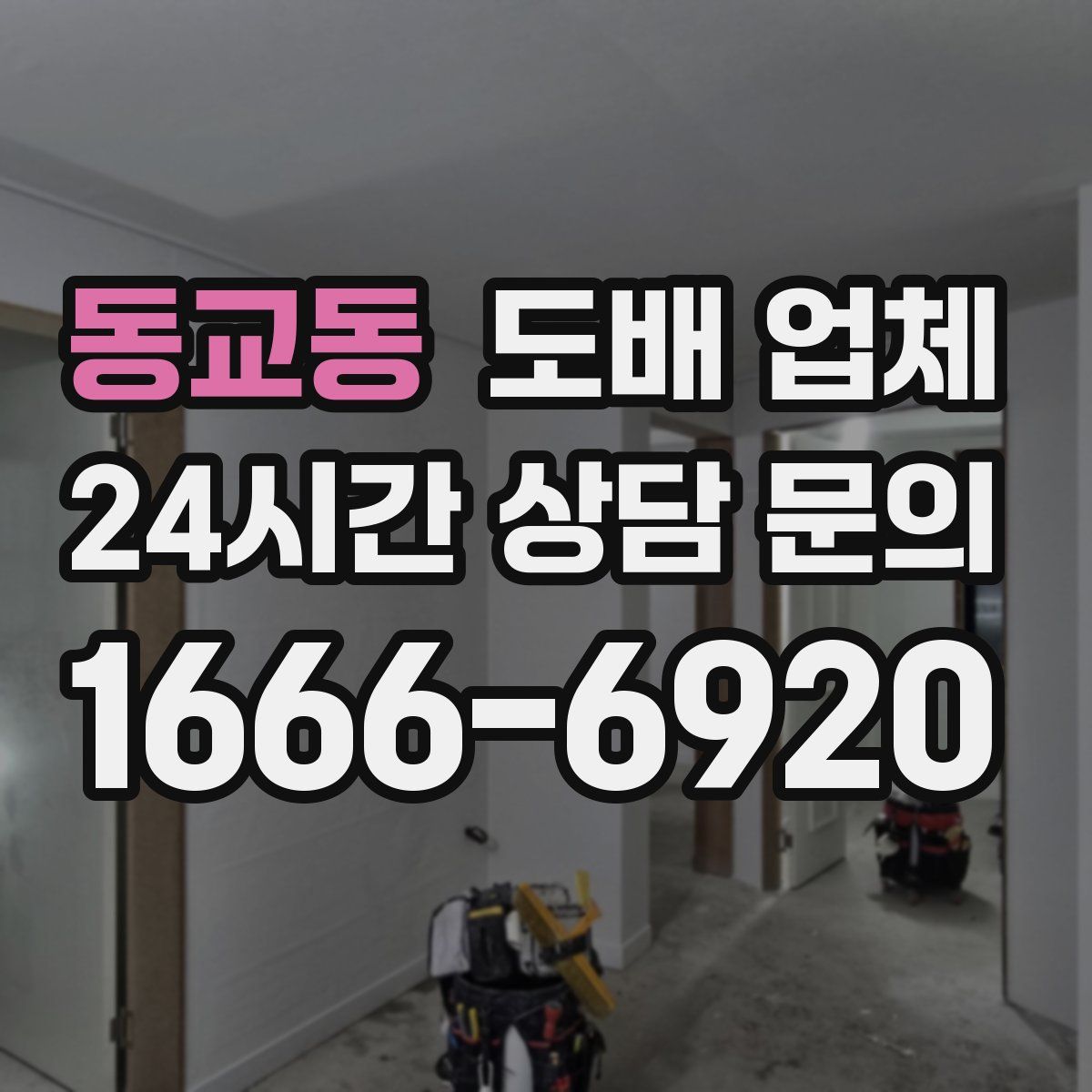 동교동 도배 업체
