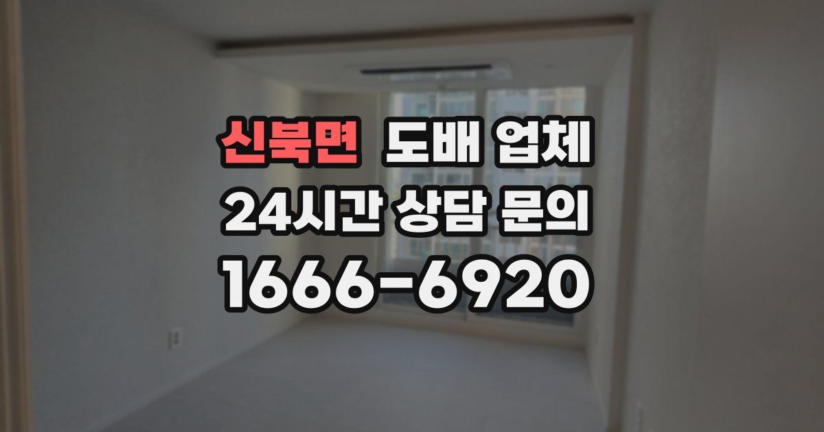신북면 도배 업체