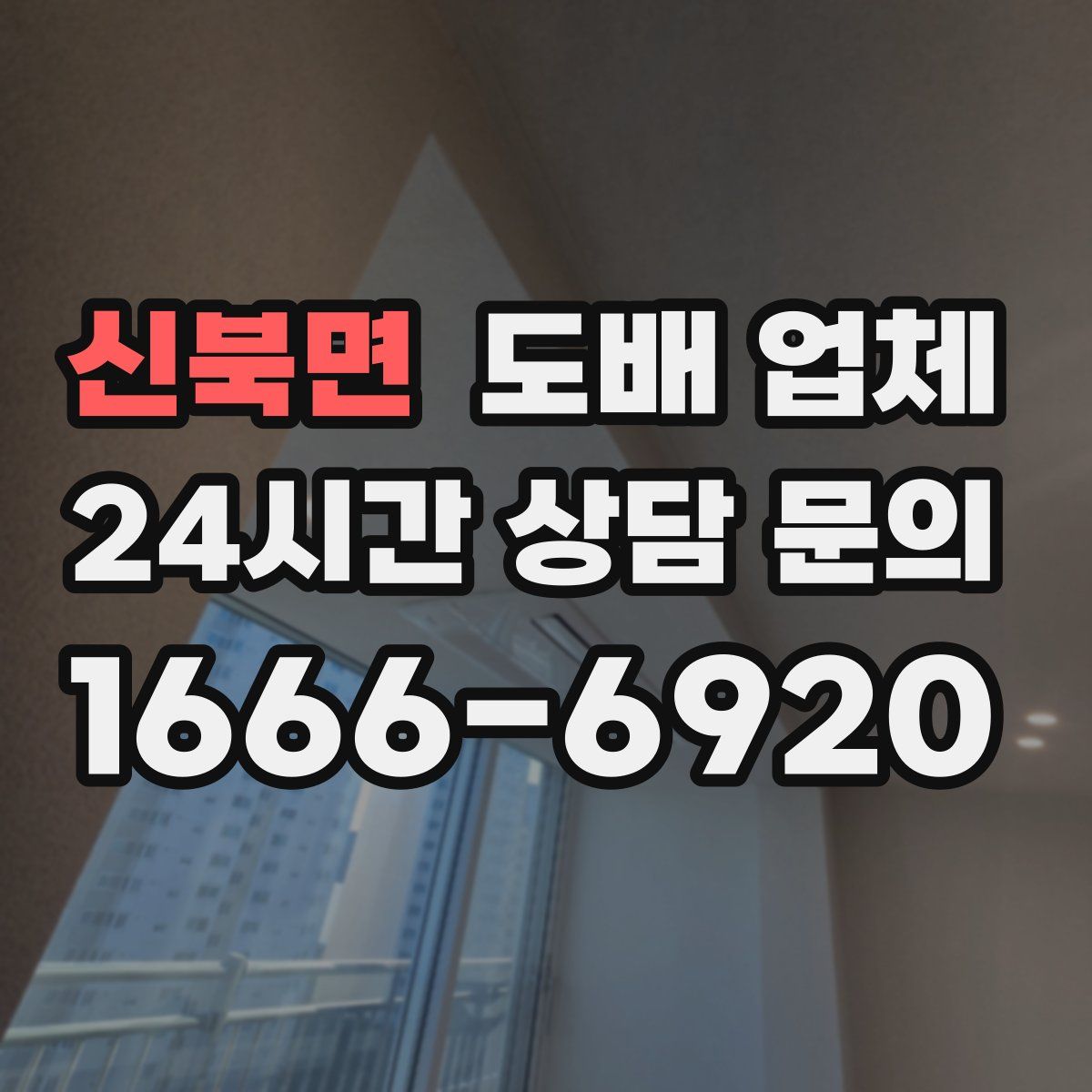 신북면 도배 업체