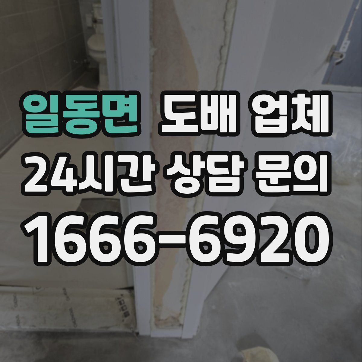 일동면 도배 업체
