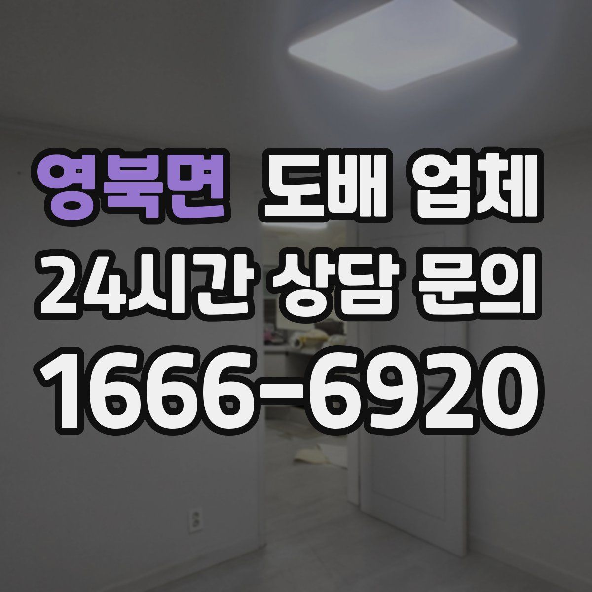 영북면 도배 업체