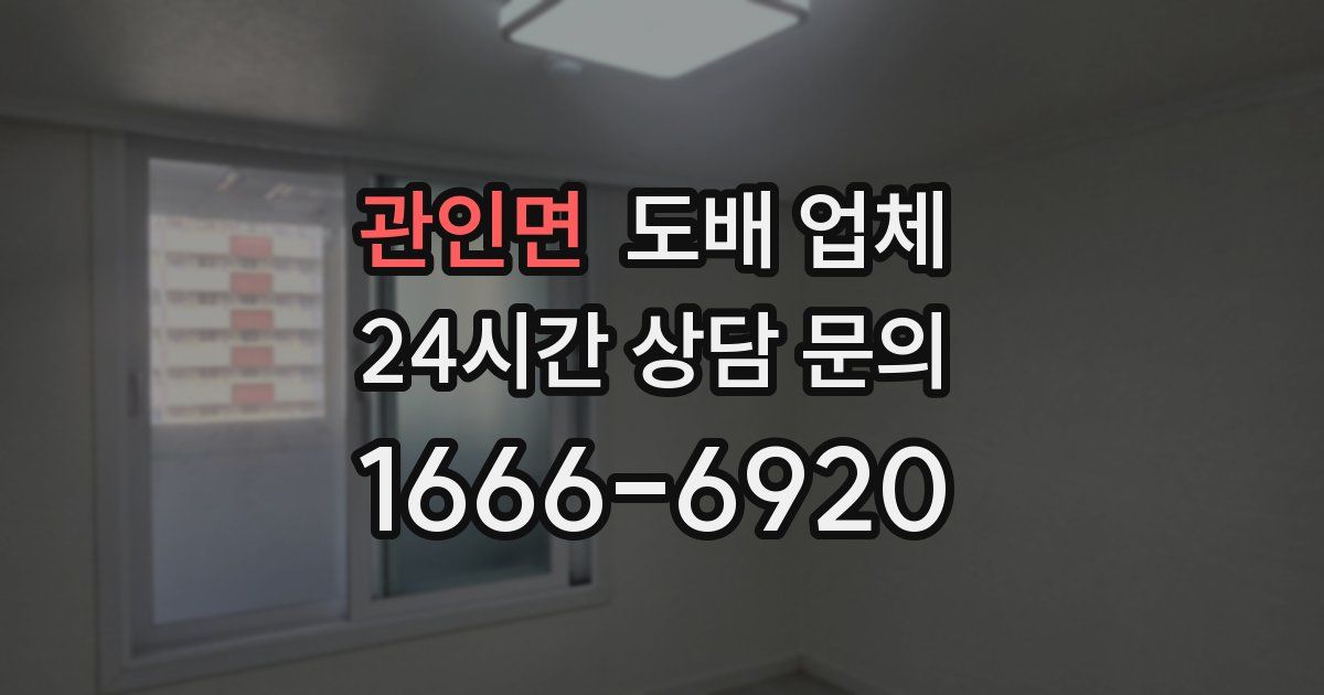 관인면 도배 업체