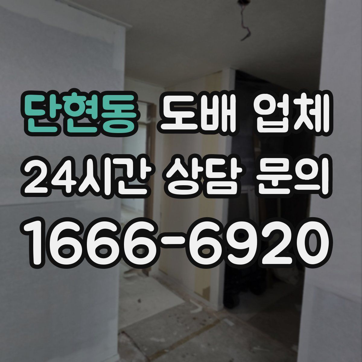 단현동 도배 업체