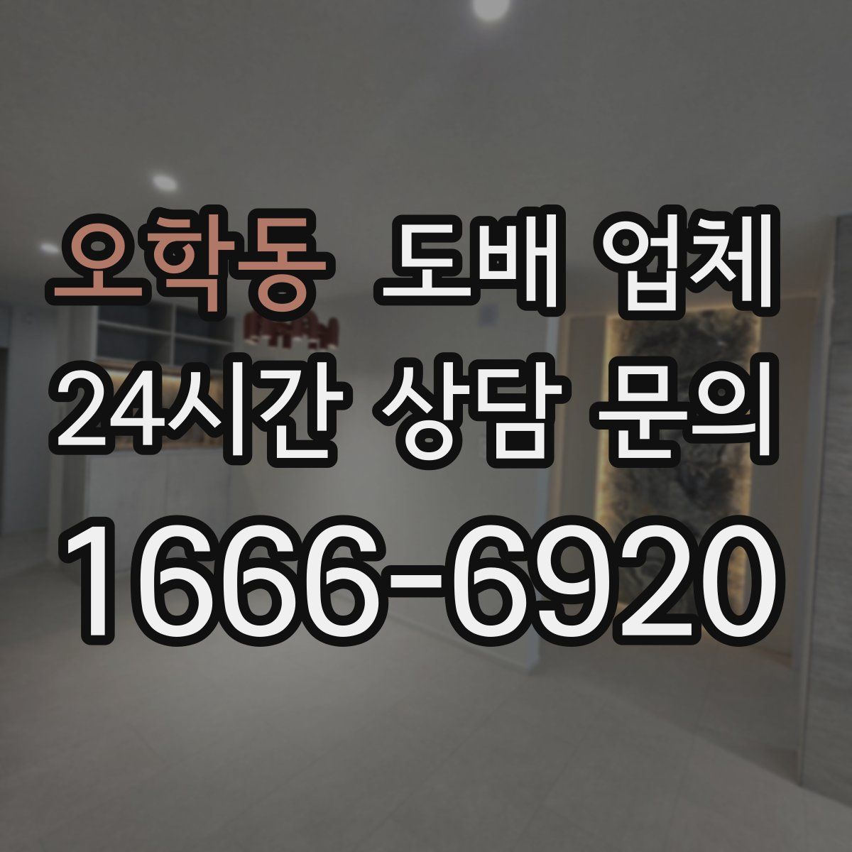 오학동 도배 업체